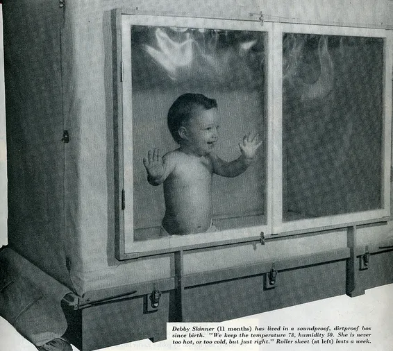 Baby inside skinner box