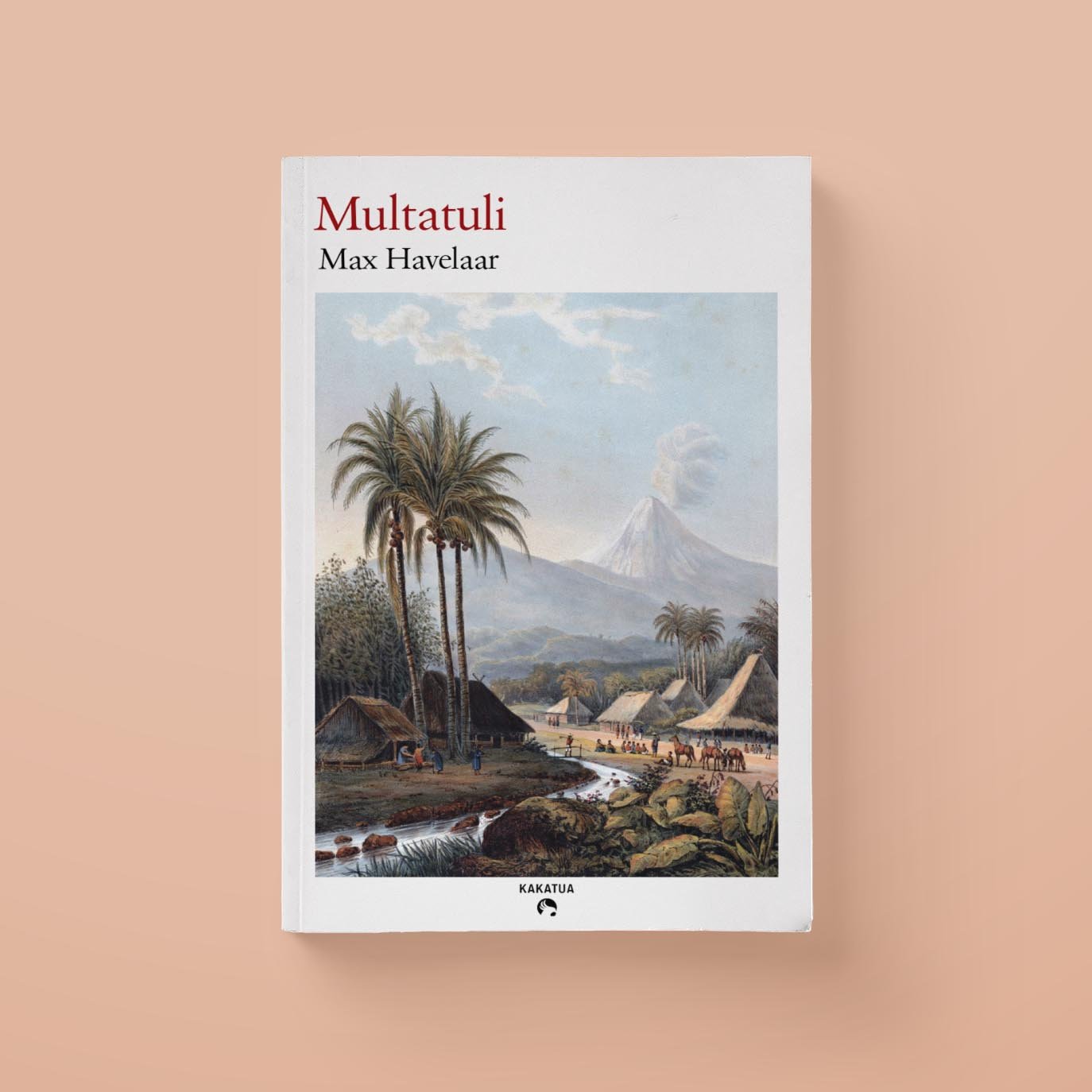 Cover of Max Havelaar